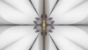boundary and vertical tube ascension 101 gray abstract flower with vertical gold line through it