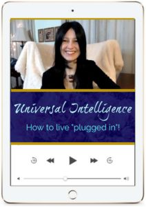 Read more about the article Universal Intelligence webinar
