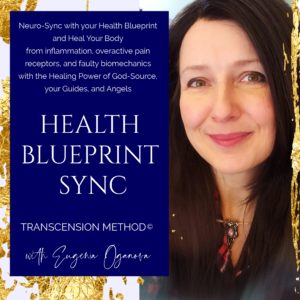 Read more about the article Health Blueprint Sync Course